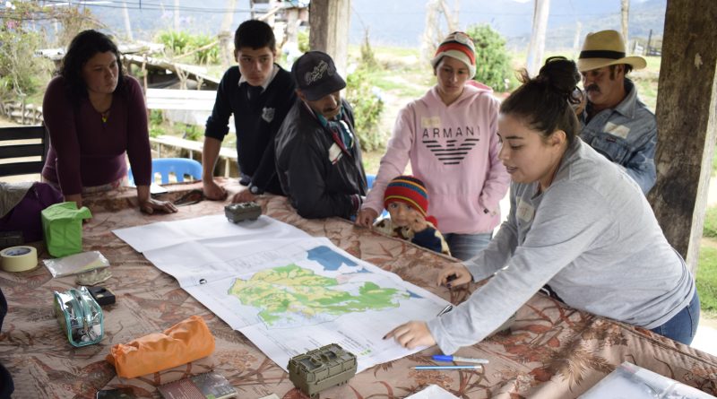 Cortolima impulsa el monitoreo comunitario de fauna silvestre en Cajamarca para proteger la biodiversidad local.