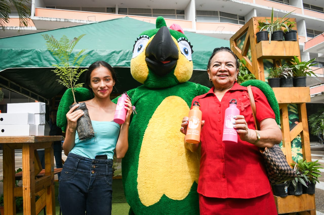 Cortolima llama a municipios a garantizar legalidad y seguridad en estructuras artesanales de fiestas folclóricas