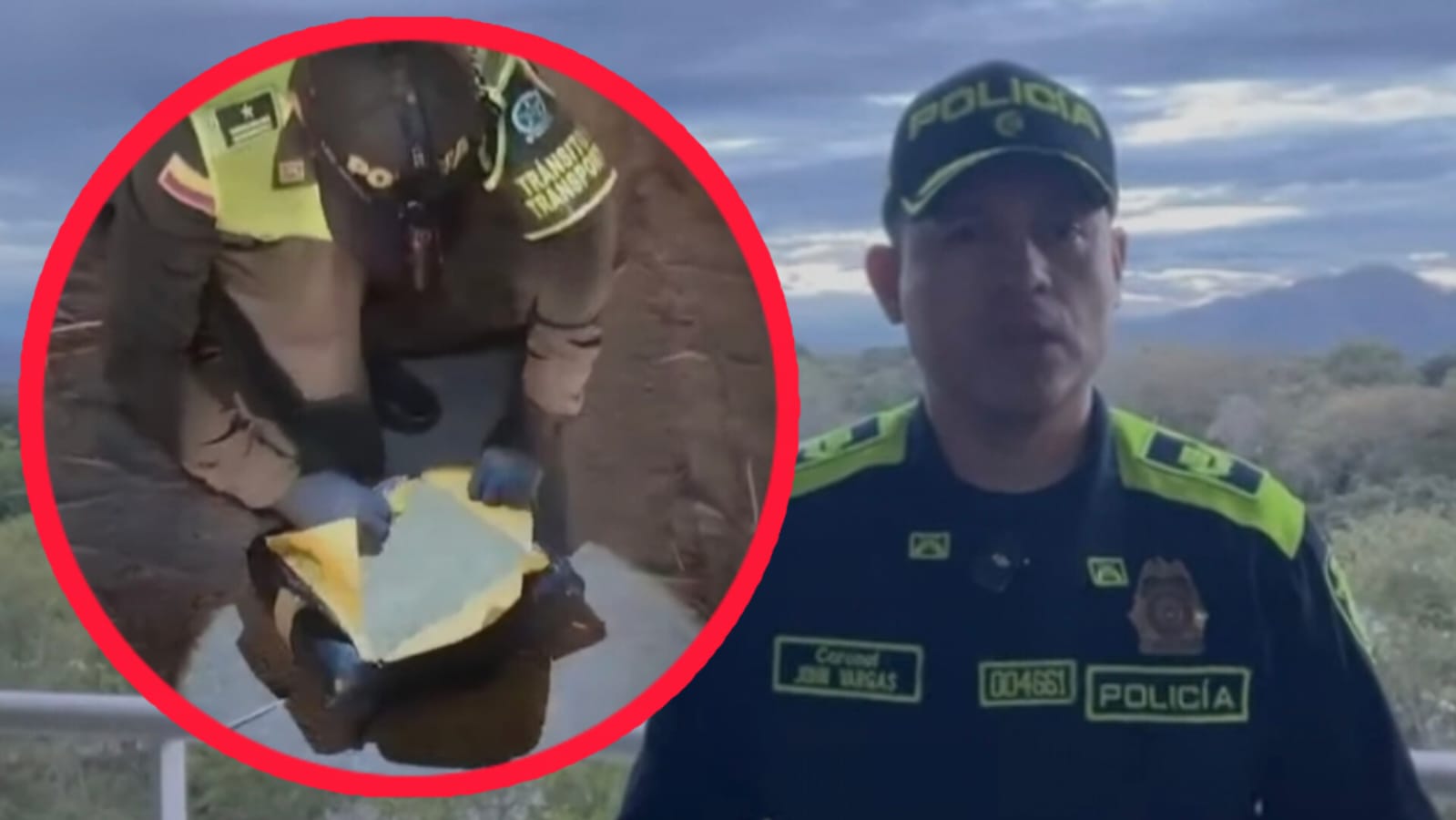 Cae millonario cargamento de marihuana en carreteras del Tolima