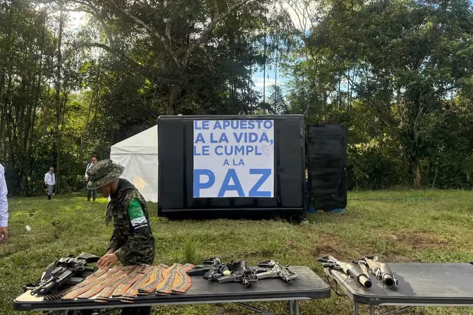 99 guerrilleros entregan sus armas en Putumayo y avanzan en proceso de paz