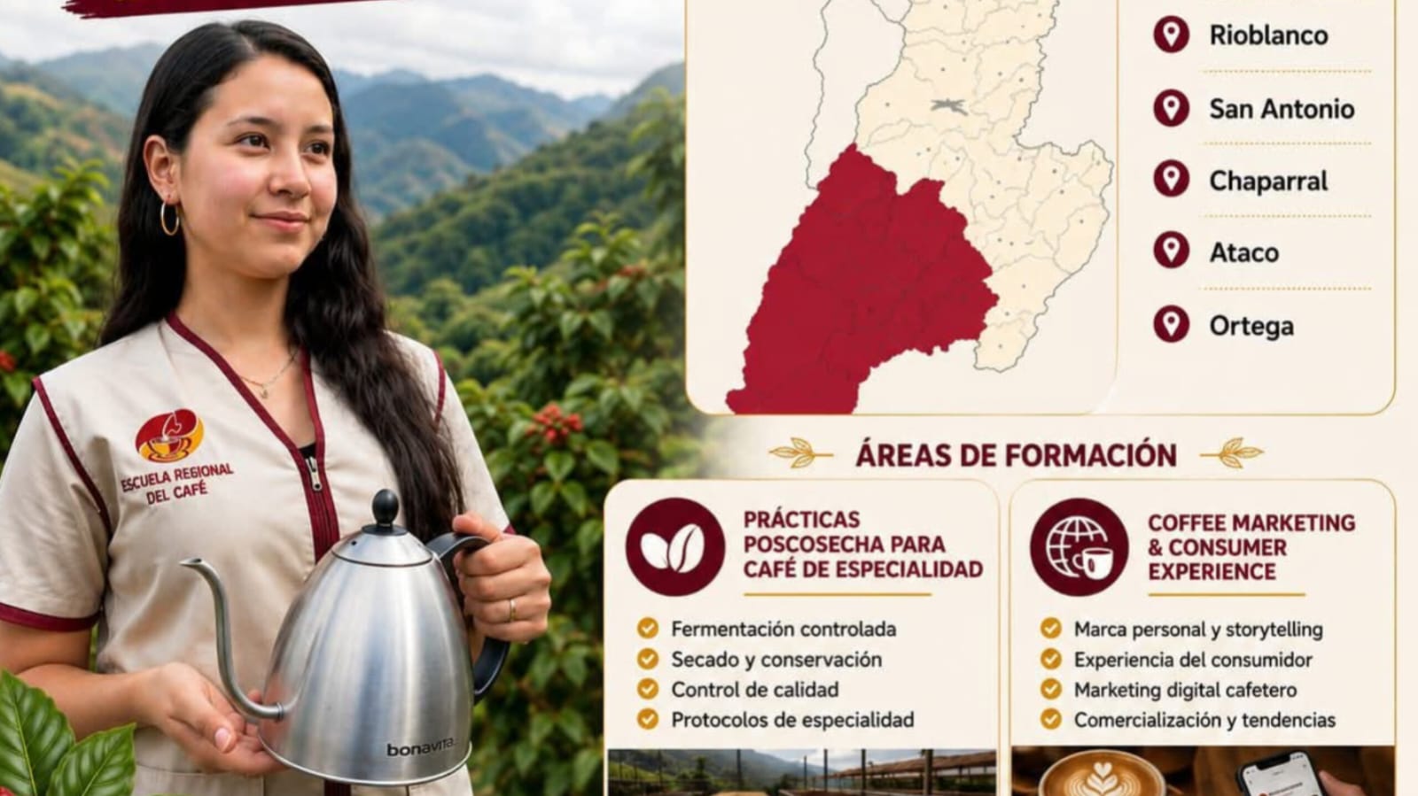 Jóvenes cafeteros del sur del Tolima podrán acceder a formación internacional en cafés especiales
