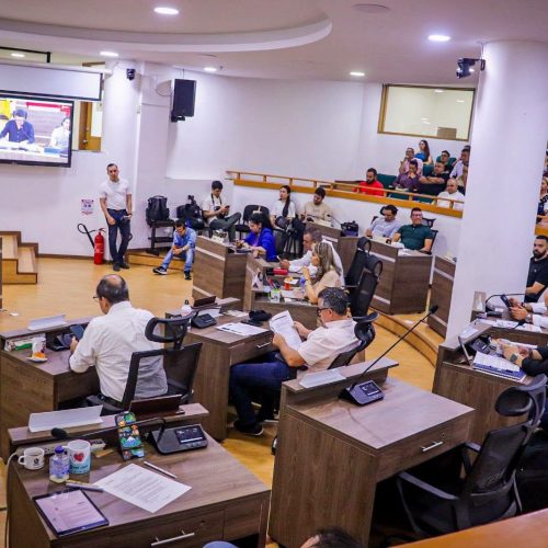 Tolima aprueba alivios tributarios para deudores del impuesto vehicular