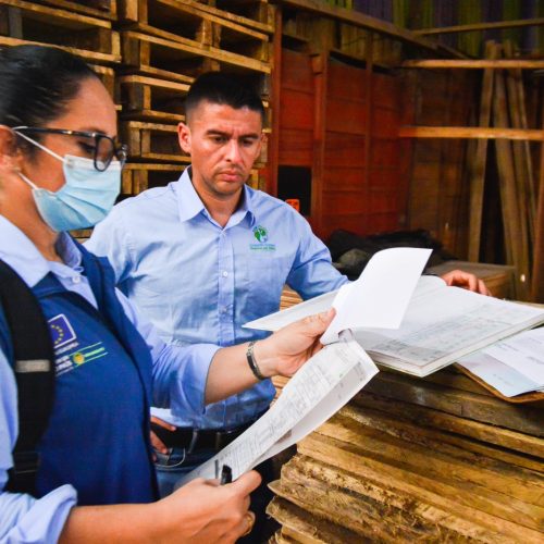 Cortolima llama a municipios a garantizar legalidad y seguridad en estructuras artesanales de fiestas folclóricas