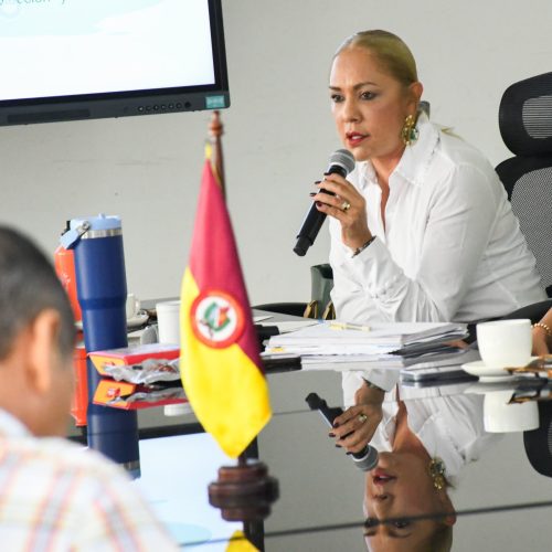Directora de Cortolima invita a MinAmbiente a sumarse a discusiones sobre el futuro del sector arrocero