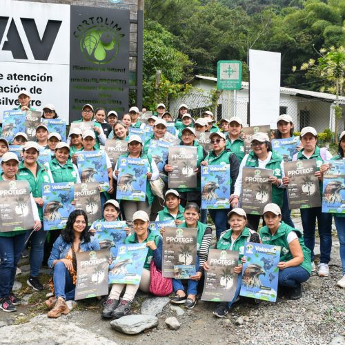 Cortolima avanza en la campaña para proteger el paso del águila cuaresmera en Tolima