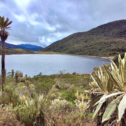 Tolima fortalece red de áreas protegidas con la aprobación del Plan de Manejo del Parque Natural Regional Loros Andinos