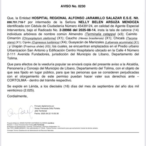 Cortolima autoriza tala de árboles en Líbano