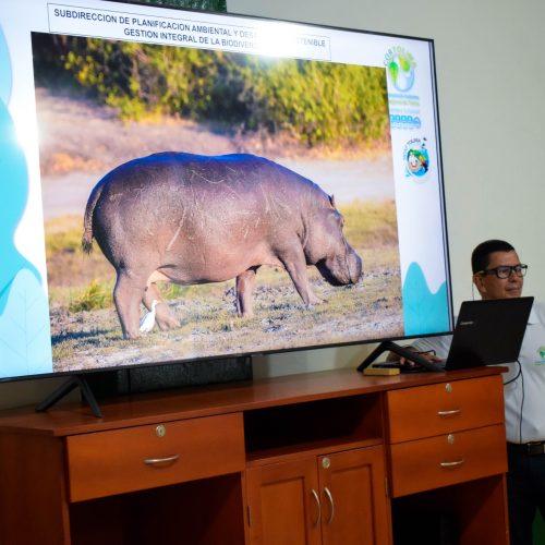 Cortolima y comunidad de Mariquita conforman grupo de monitoreo para conservación de la fauna y flora