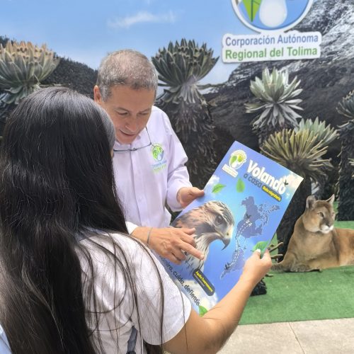¡Pilas! A cuidar las palmas del bosque y las águilas cuaresmeras en Semana Santa