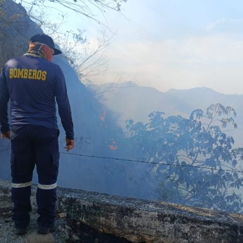 Cuatro incendios forestales mantienen en alerta al Tolima