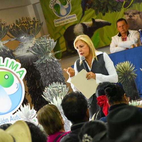 Estufas ecoeficientes, nuevos socios PSA, huertas caseras y educación ambiental: nuevas inversiones de Cortolima en Roncesvalles