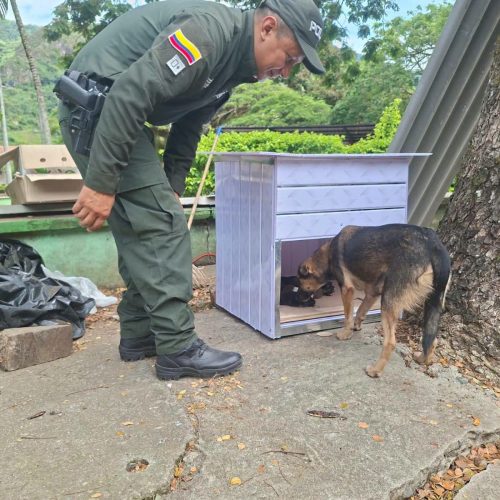 Conmovedor rescate: Policía construyó un hogar para una perrita y sus crías