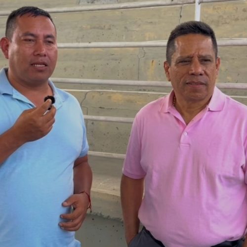Jornada veterinaria benefició a más de 50 mascotas en Chaparral