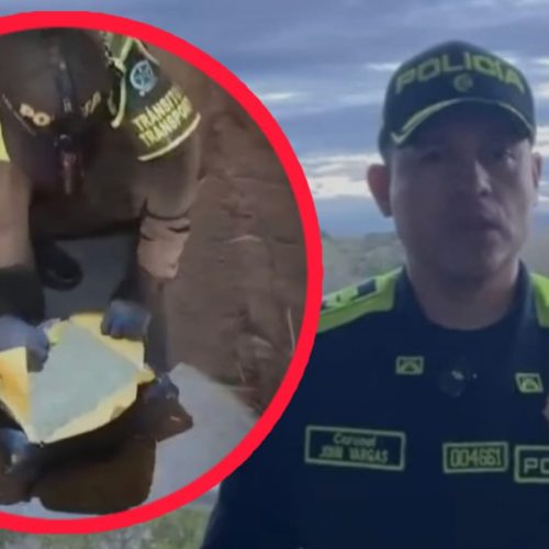 Cae millonario cargamento de marihuana en carreteras del Tolima