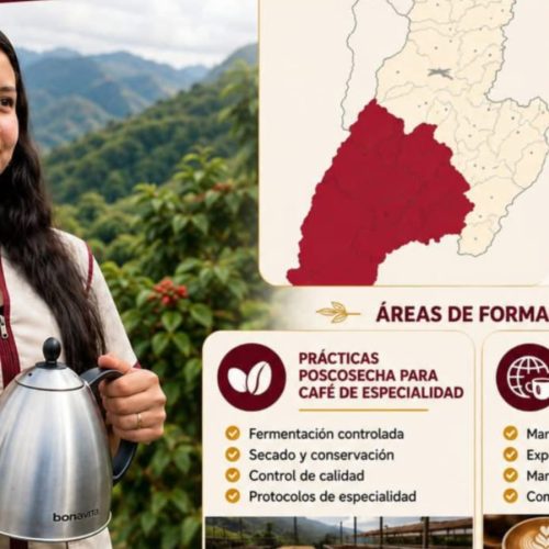 Jóvenes cafeteros del sur del Tolima podrán acceder a formación internacional en cafés especiales