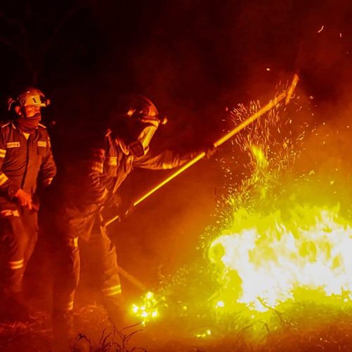 ¡Tolima en llamas! Policía intensifica la búsqueda de responsables de incendios forestales