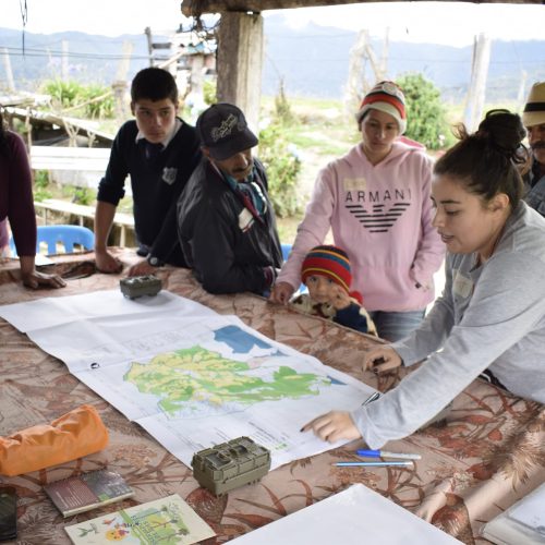 Cortolima impulsa el monitoreo comunitario de fauna silvestre en Cajamarca para proteger la biodiversidad local.
