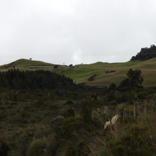 Aprobado el plan de manejo de la reserva forestal protectora El Toro