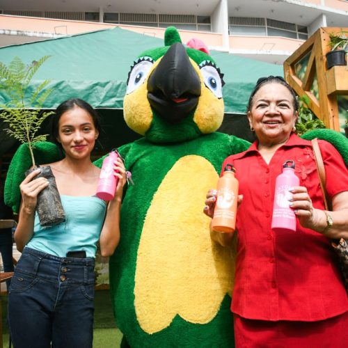 Cortolima llama a municipios a garantizar legalidad y seguridad en estructuras artesanales de fiestas folclóricas