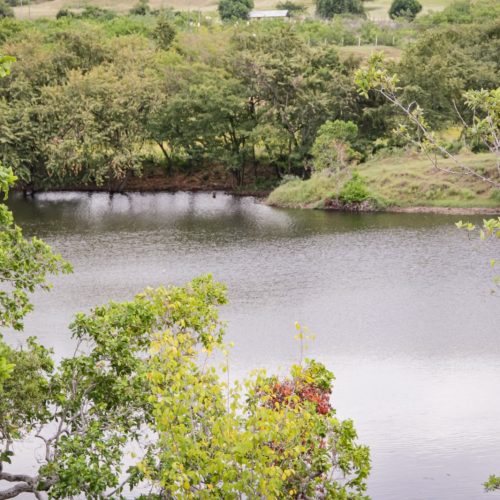 TUA: cuándo pagarla, quién la cobra y para qué sirve