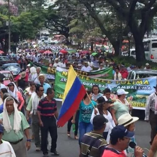 Campesinos Arroceros en Colombia Exigen Ajuste de Precios y Protección ante los TLC