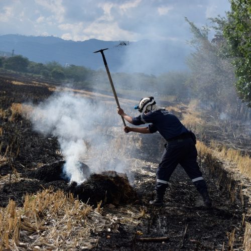Cortolima ha entregado 20 planes de contingencia para atender y prevenir incendios forestales