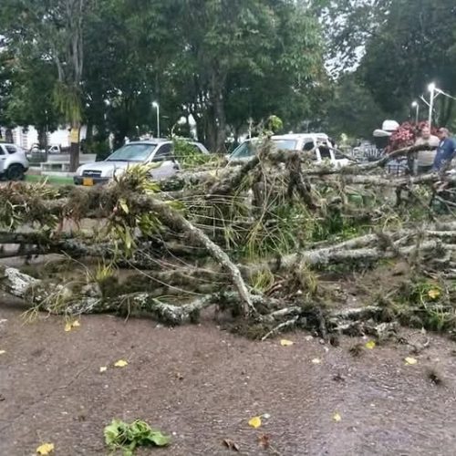 Fenómeno climático en Suaza, Huila: fuertes aguaceros y vientos azotan la región