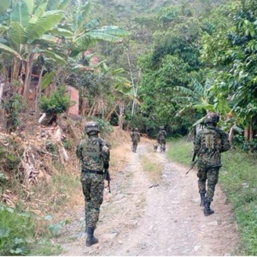 Ejército refuerza ofensiva en el sur del Tolima tras ataques con drones y explosivos