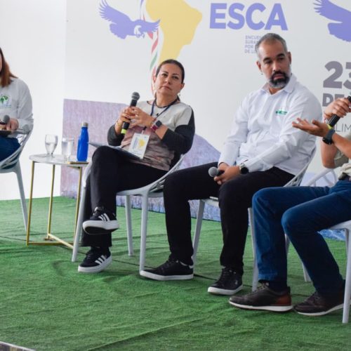 Desde Tolima, expertos llamaron a fortalecer la gobernanza ambiental para la conservación de los páramos andinos