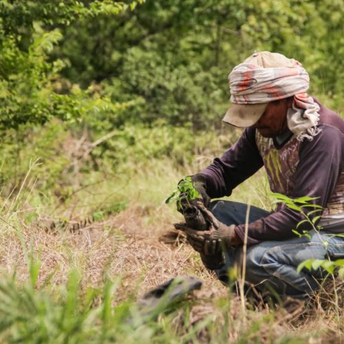 Cortolima logra aprobación de $14.787 millones para conservar áreas estratégicas en Tolima