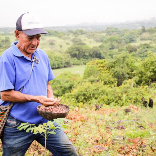 Más de $7.500 millones invertidos por Cortolima para cuidar los territorios indígenas