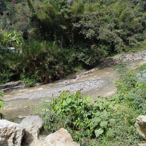 Quebrada Perlas de Ibagué no registra aumento de caudal ni de turbiedad